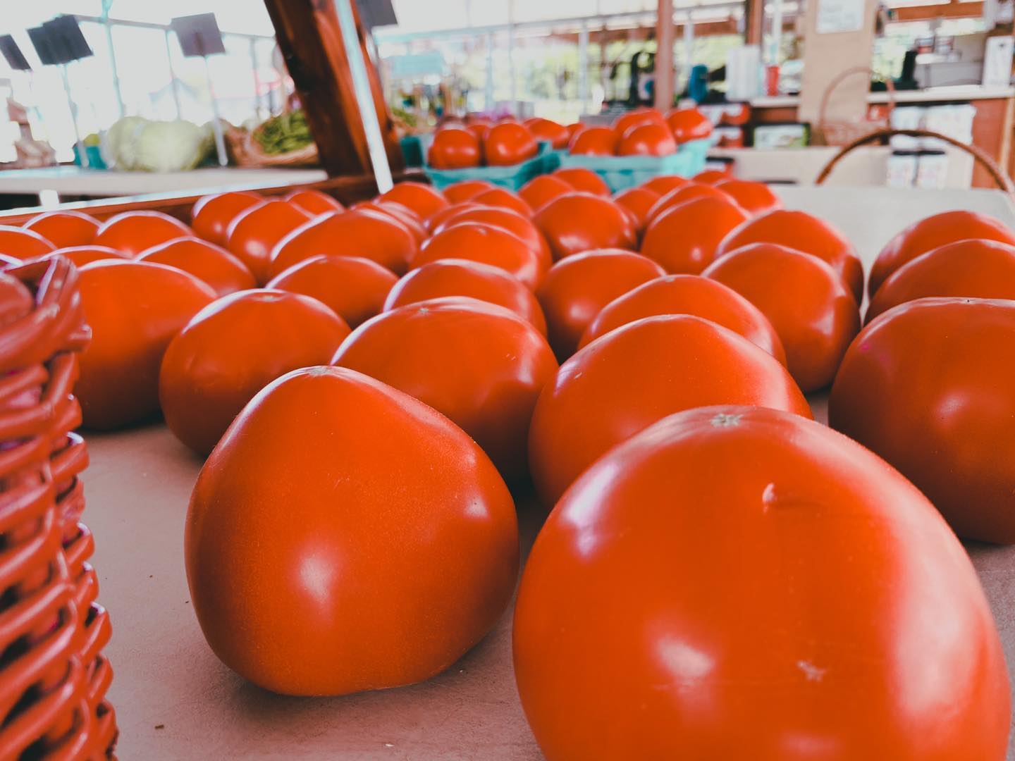 Homestead Greenhouse Crofton, KY